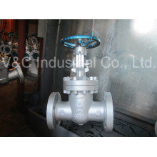 Flexible Wedge API Stainless Steel Flange Gate Valve From China